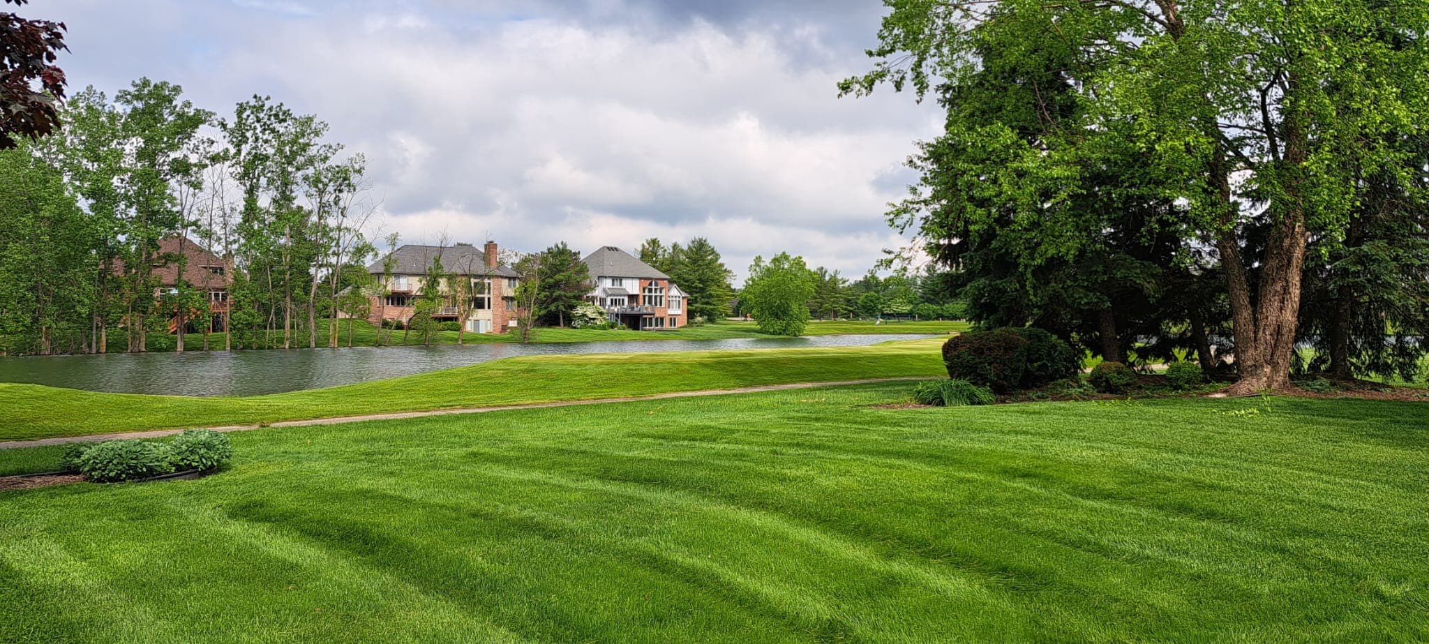 Beautiful landscaped yard