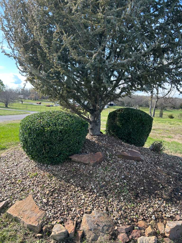 Custom landscape design with fresh plantings and mulch beds